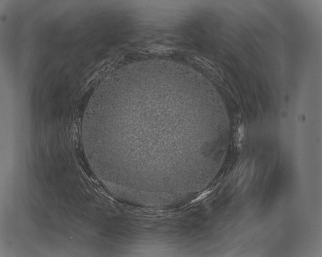 X0000081321397200701111321