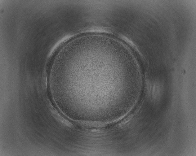 X0000081321408200701111322