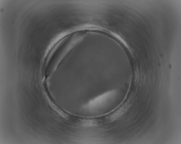 X0000081321413200701111322