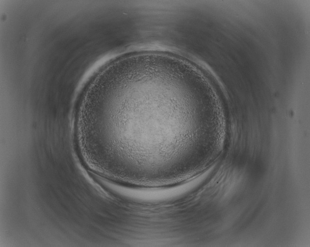 X0000081321416200701111322