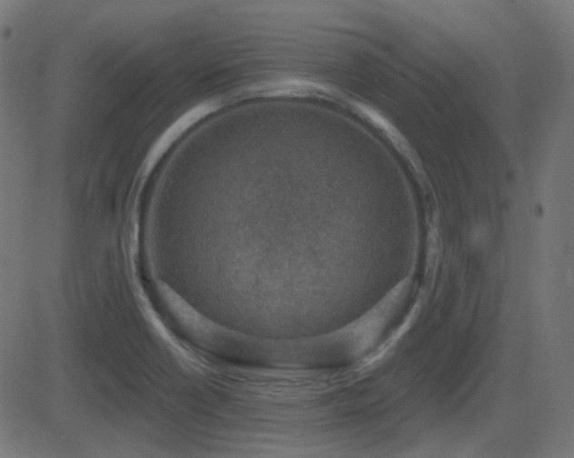 X0000081321418200701111322