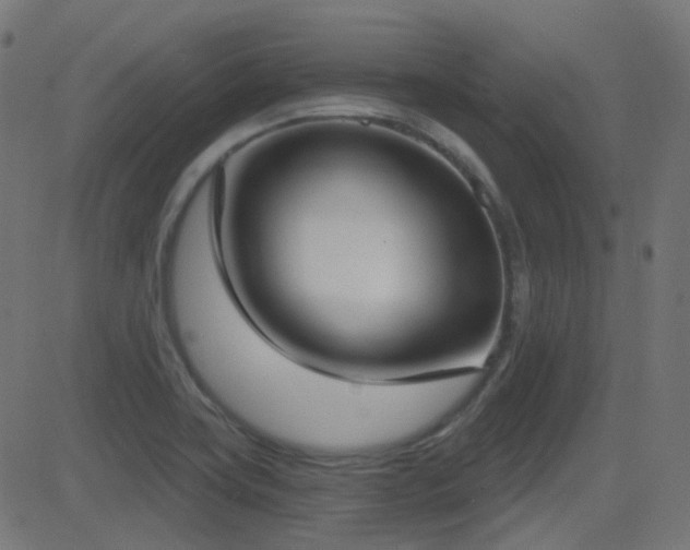 X0000081321419200701111322