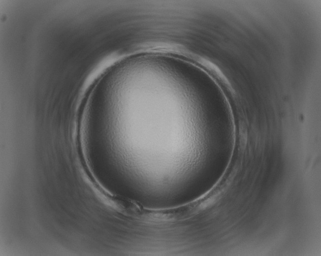 X0000081321424200701111322