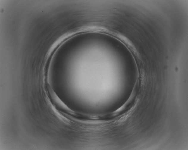 X0000081321430200701111322