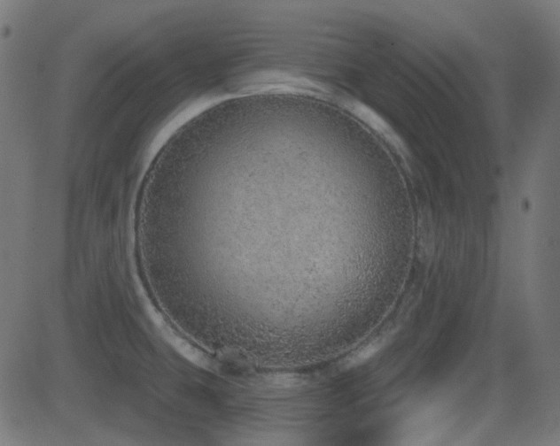 X0000081321431200701111322