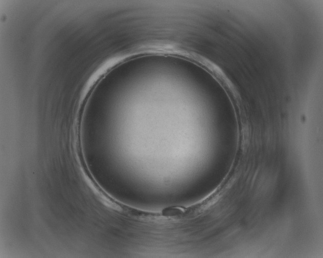 X0000081321432200701111322