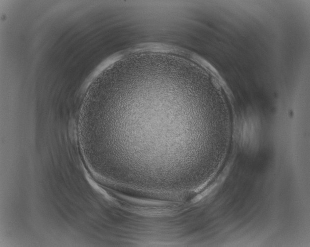 X0000081321433200701111322