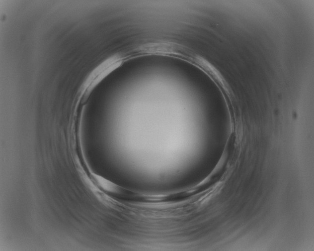 X0000081321434200701111322
