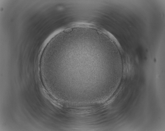 X0000081321435200701111322