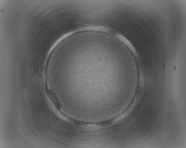 X0000081321436200701111322