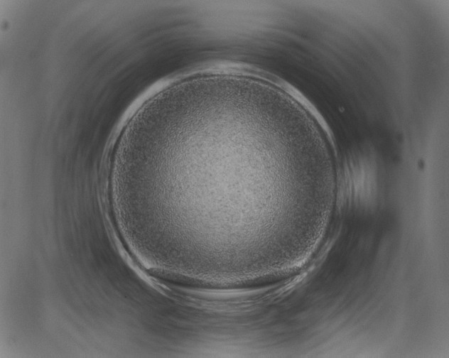 X0000081321437200701111322