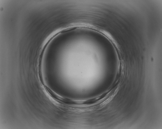 X0000081321438200701111322
