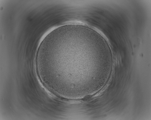 X0000081321440200701111322