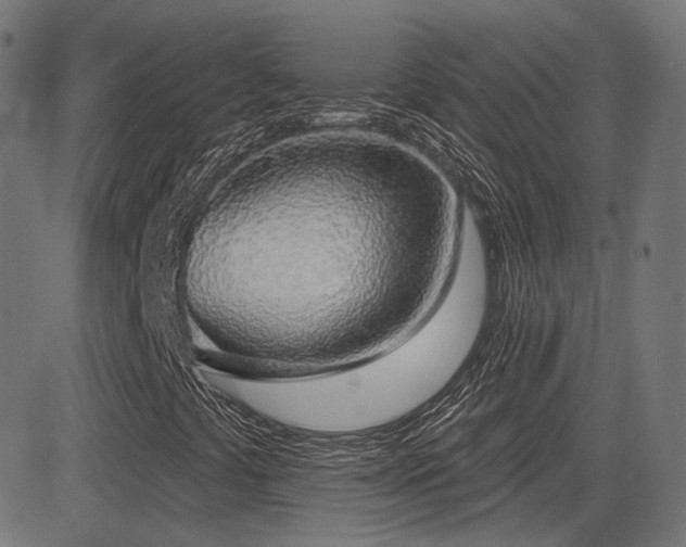 X0000081321441200701111321