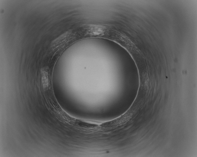 X0000081321442200701111321