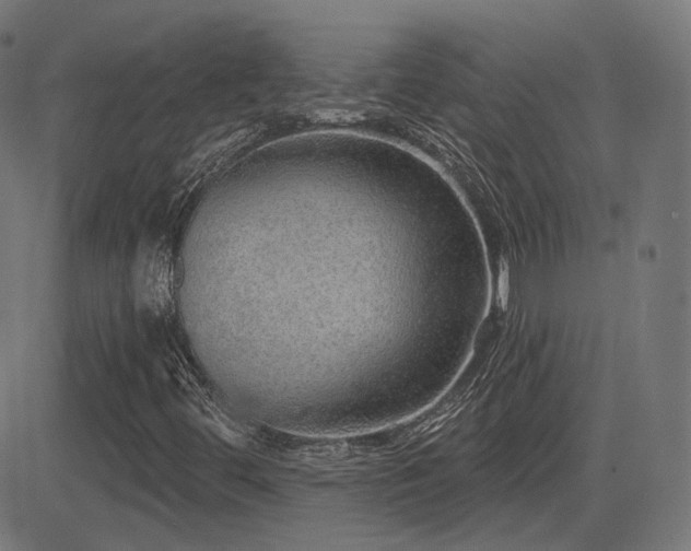 X0000081321444200701111321
