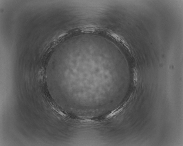 X0000081321445200701111321