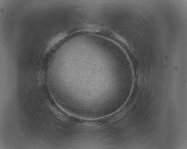 X0000081321448200701111321