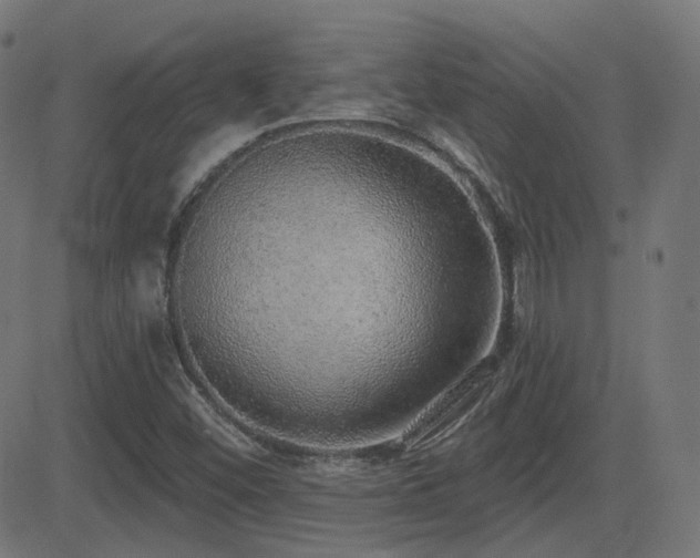 X0000081321452200701111321