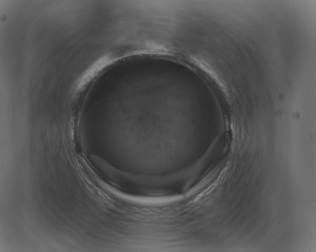 X0000081321455200701111321
