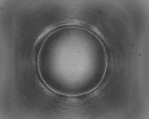 X0000081321456200701111321