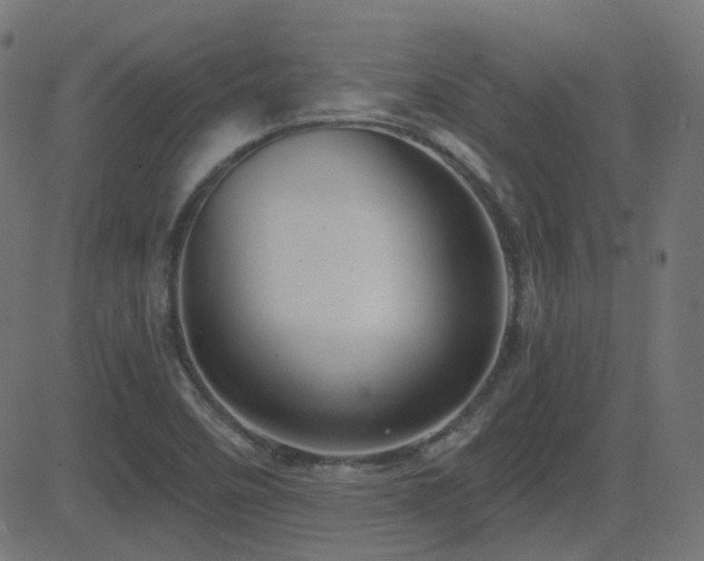 X0000081321458200701111321