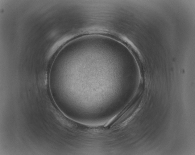 X0000081321461200701111321