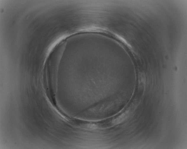 X0000081321463200701111321