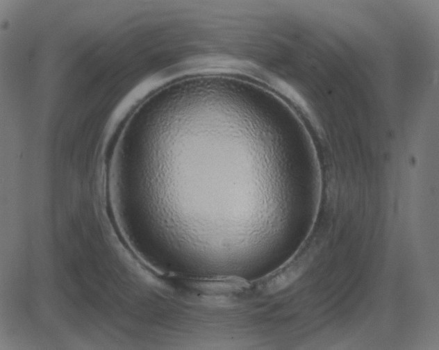 X0000081321472200701111321