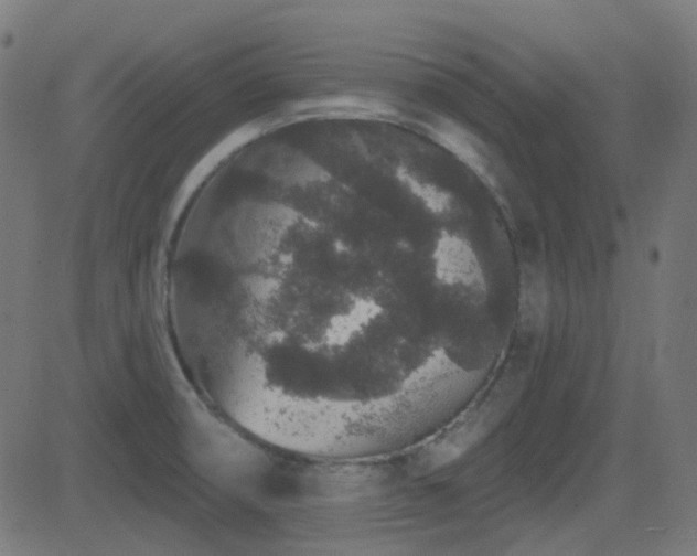 X0000081321474200701111321