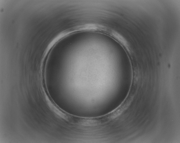 X0000081321475200701111321
