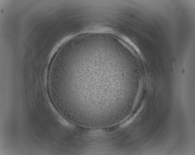 X0000081321477200701111321