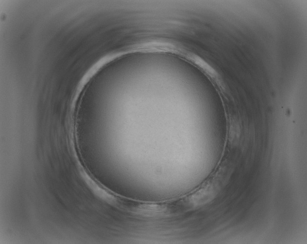 X0000081321478200701111321