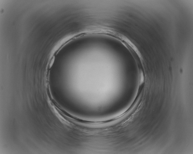 X0000081321485200701111321