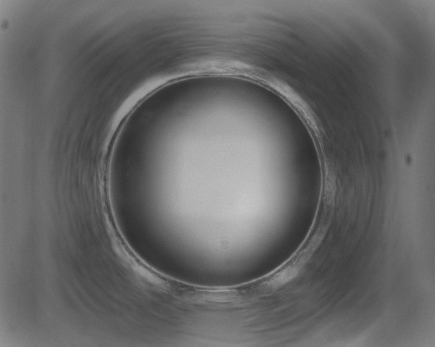 X0000081321486200701111321