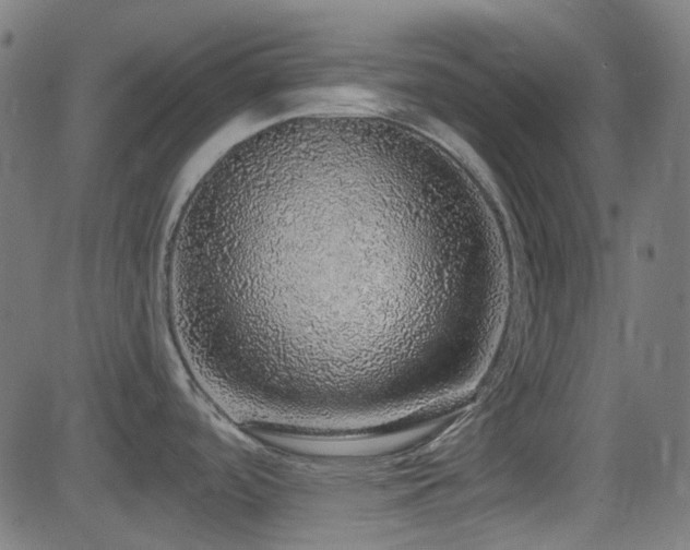 X0000081321488200701111321