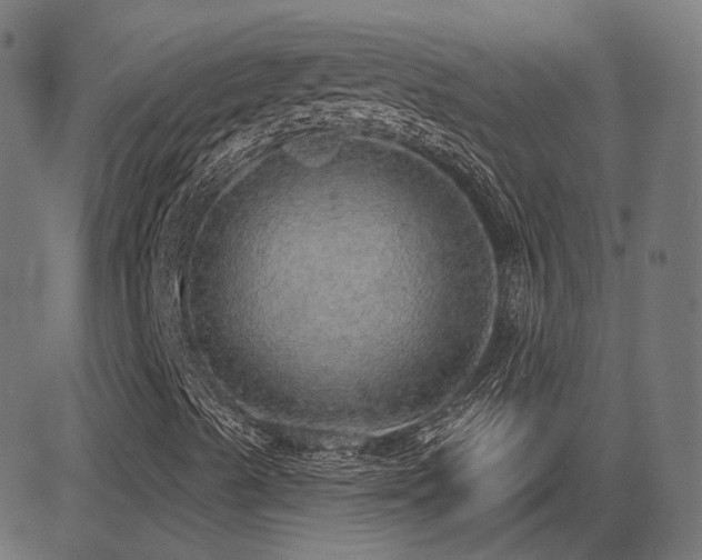 X0000081321489200701111320