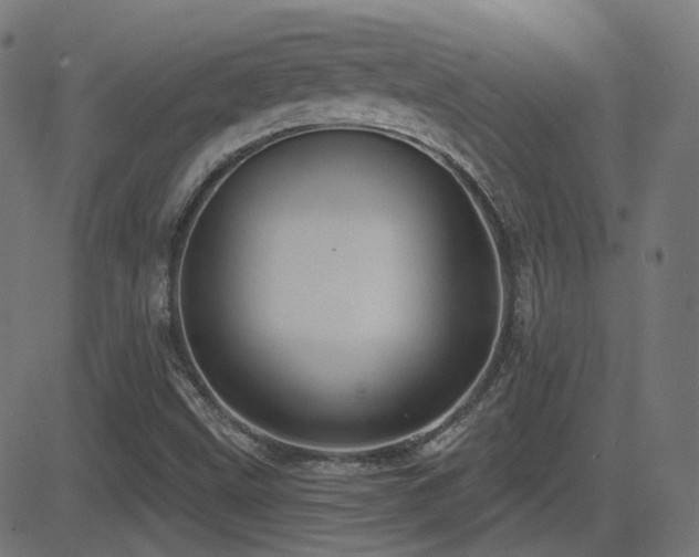 X0000081321499200701111320