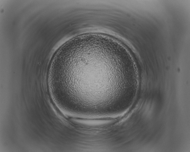 X0000081321513200701111320