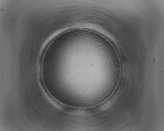X0000081321517200701111320