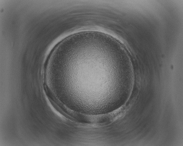 X0000081321519200701111320