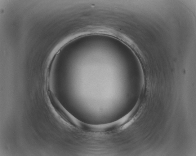 X0000081321520200701111320