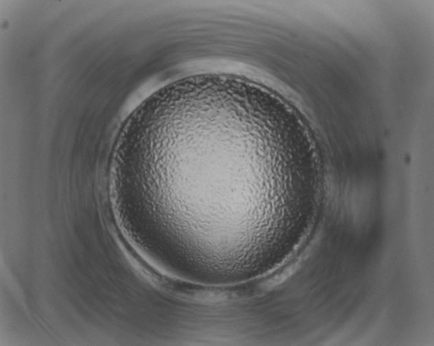 X0000081321521200701111320