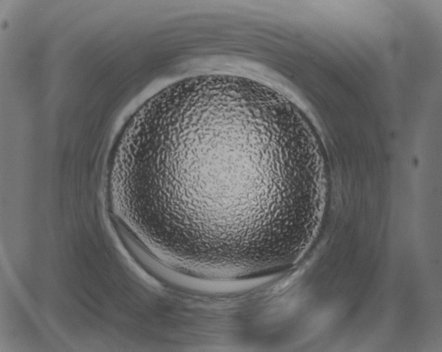 X0000081321525200701111320