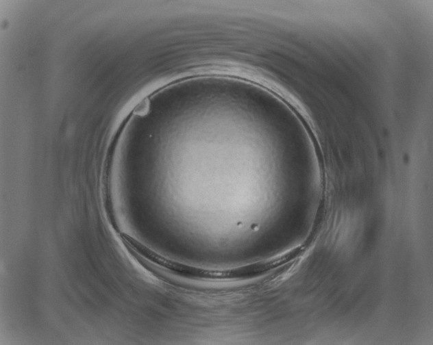 X0000081321533200701111321