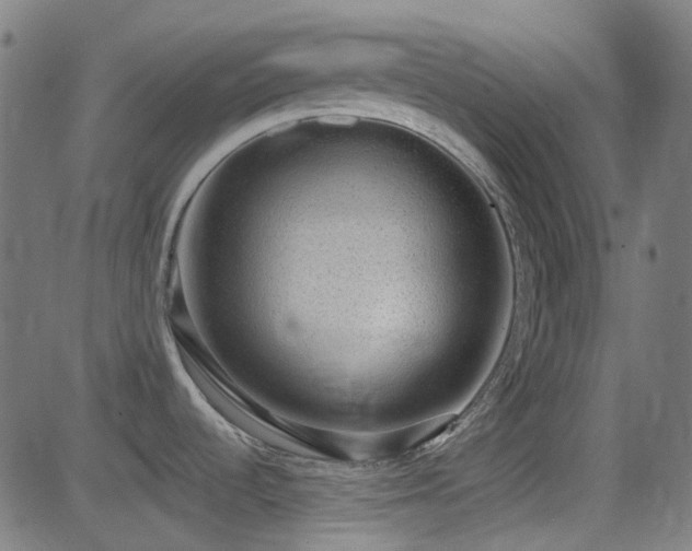 X0000081321536200701111321
