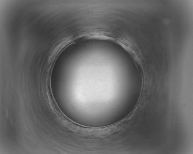 X0000081320001200701181940