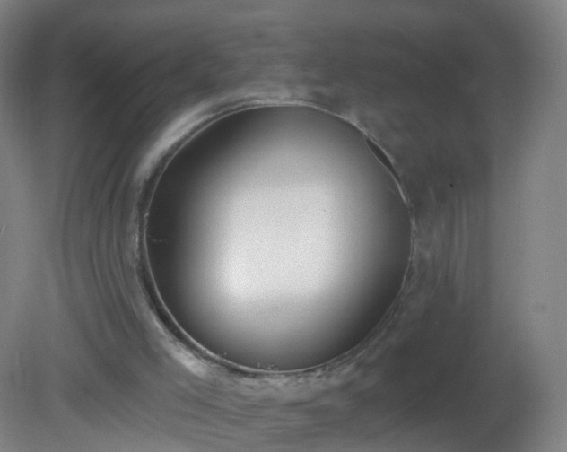 X0000081320005200701181940