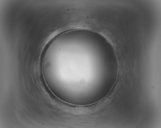 X0000081320008200701181940