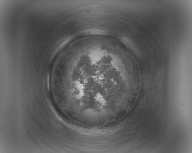 X0000081320014200701181940